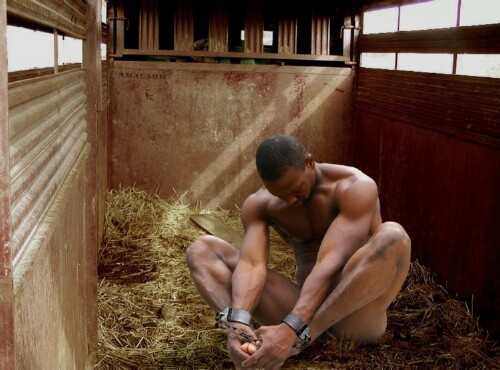 buck-in-his-stall-small