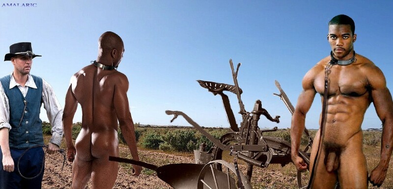 buck-slaves-hitched-to-the-plow-small