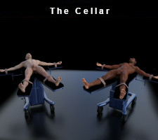 The Cellar Two guys are abducted and subjected to a series of abuses in their captor’s cellar in this new comic series by Derat.