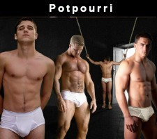 Potpourri Sexy series of shorts with manips from the incredible mind of Amalaric!